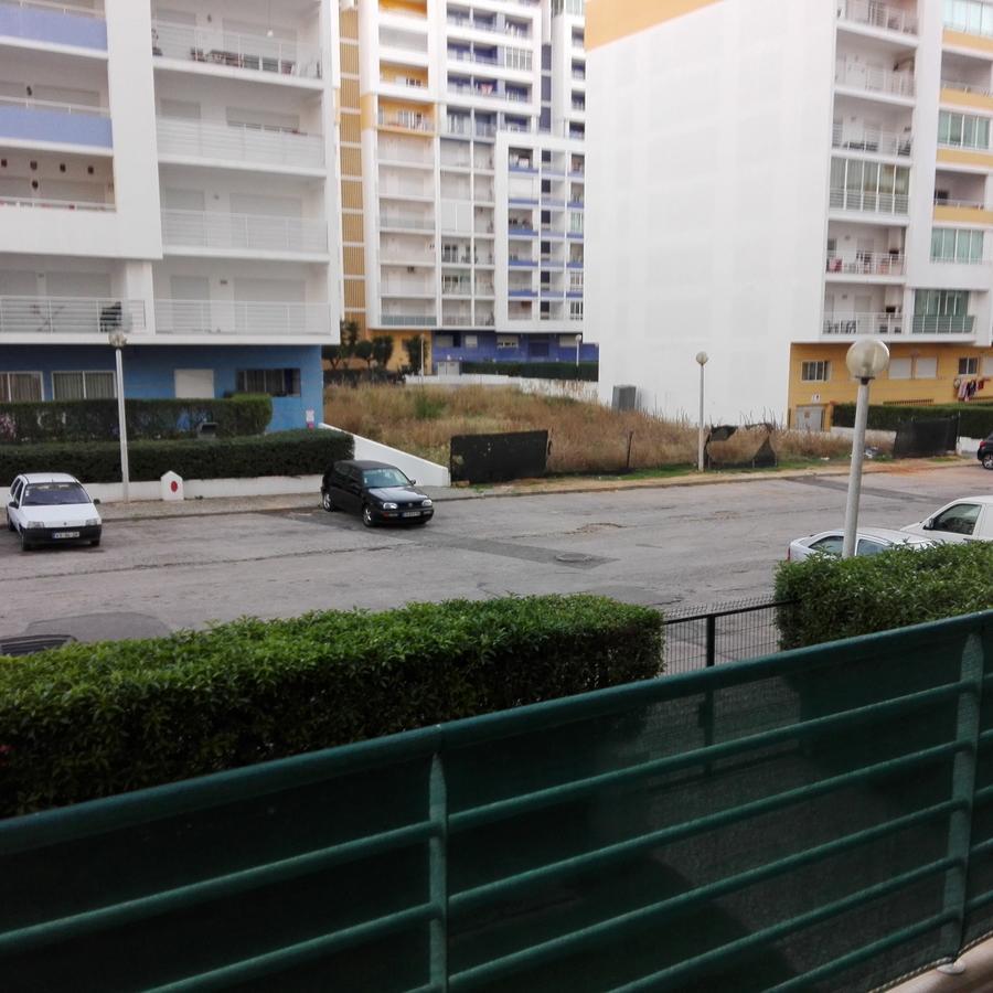 Faia Atlantico